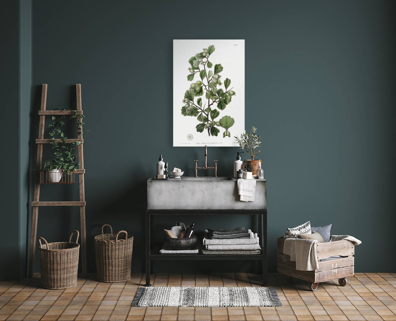 Spathula-leaved thorn from Edwards Botanical Register 1829-1847  by Sydenham Edwards John Lindley and James Ridgway. Reproduction