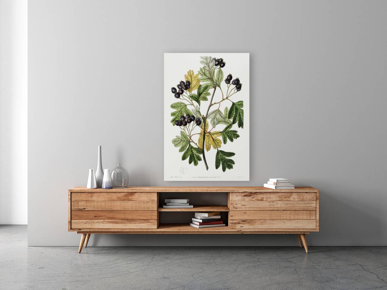 Broad-leaved thorn from Edwards Botanical Register 1829-1847  by Sydenham Edwards John Lindley and James Ridgway. Reproduction