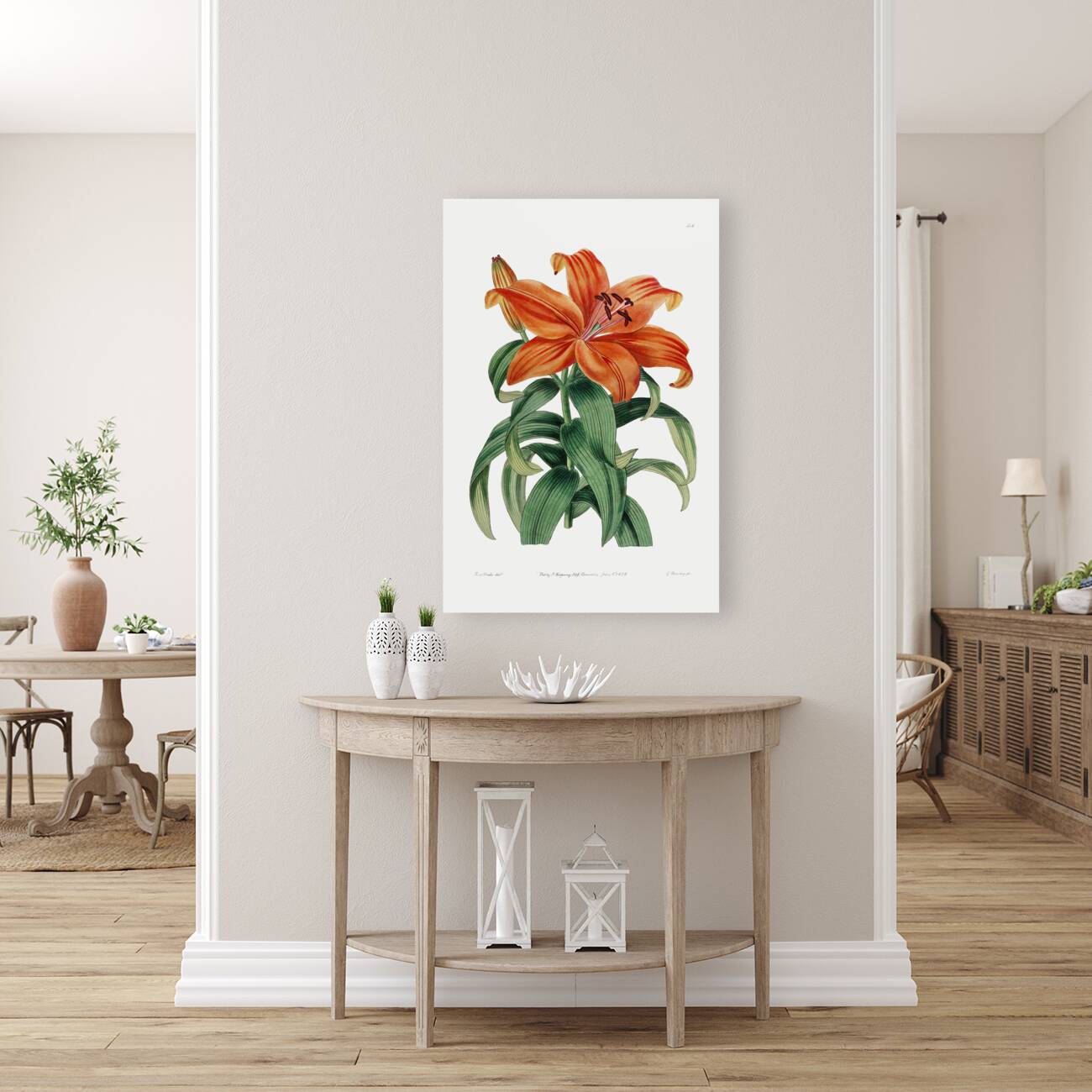 Thunbergs orange lily from Edwards Botanical Register 1829-1847  by Sydenham Edwards John Lindley and James Ridgway. Reproduction