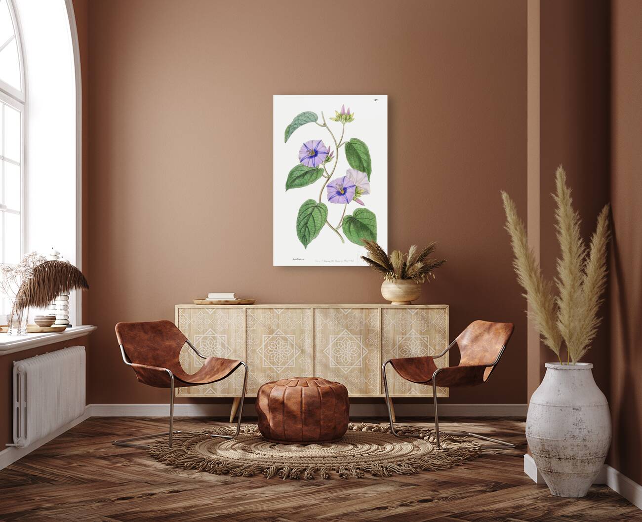 Hoary jacquemontia from Edwards Botanical Register 1829-1847  by Sydenham Edwards John Lindley and James Ridgway. Reproduction