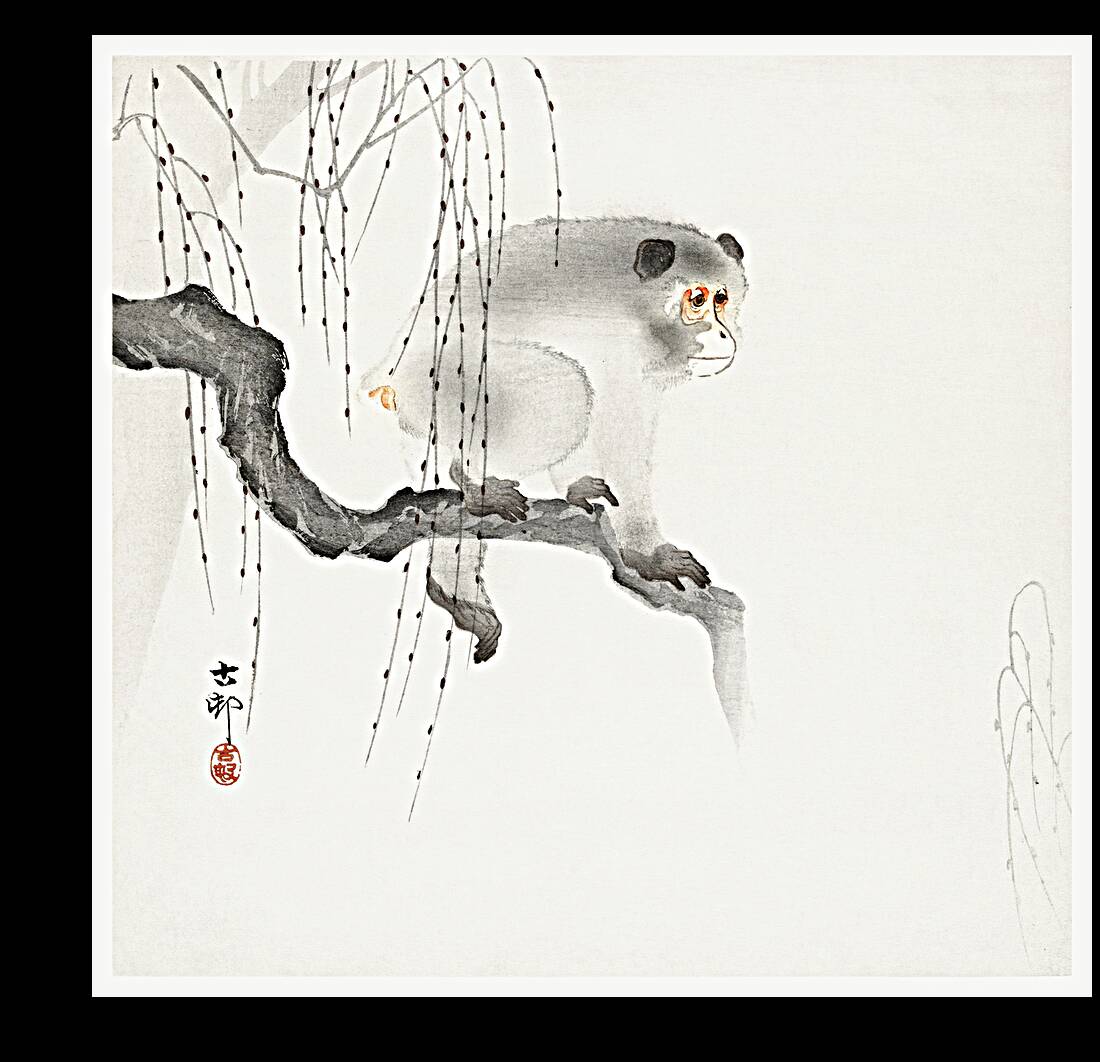Monkey on a tree branch 1900-1930 by Ohara Koson 1877-1945. Reproduction