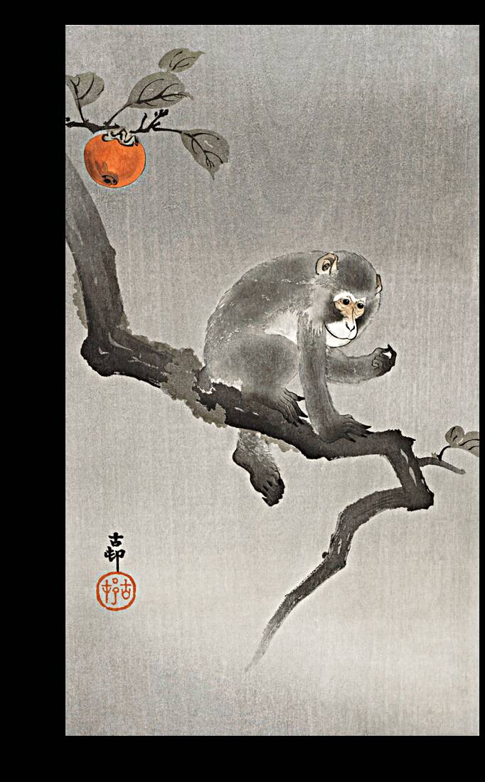 Monkey in cockatoo 1900 - 1930 by Ohara Koson 1877-1945. Reproduction