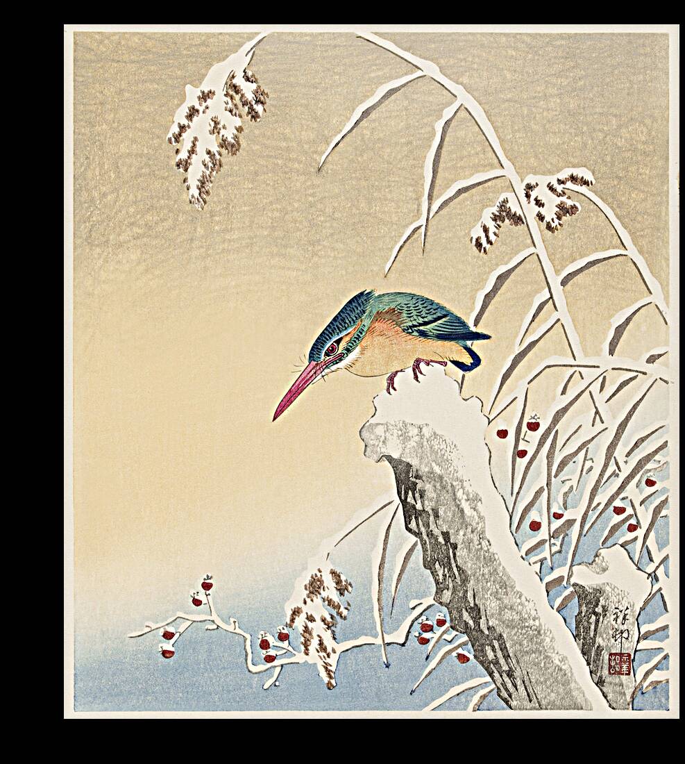 Kingfisher in the snow 1925 - 1936 by Ohara Koson 1877-1945. Reproduction