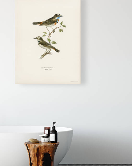 Parrot crossbill Loxia pytyopsittacus by IStockHistory com