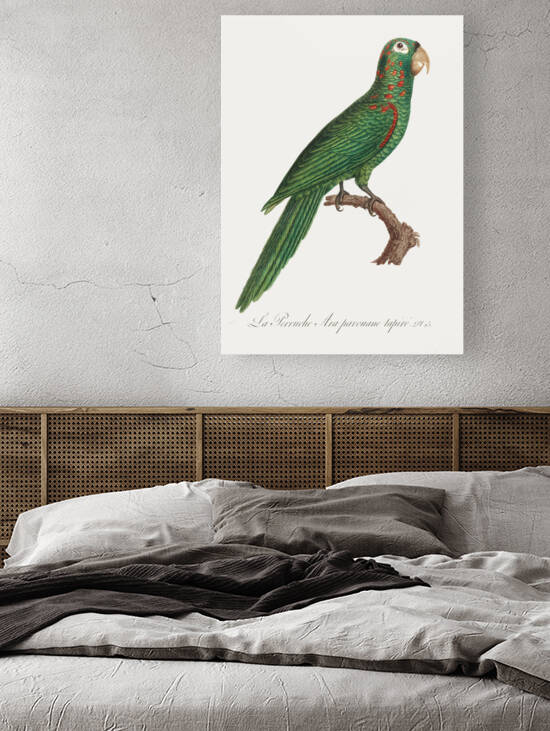 Red-spectacled amazon  by IStockHistory com