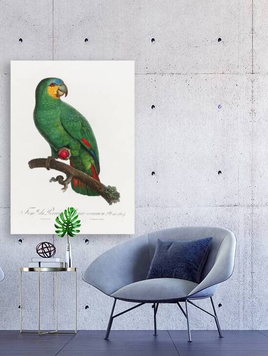 Loro guaro  by IStockHistory com