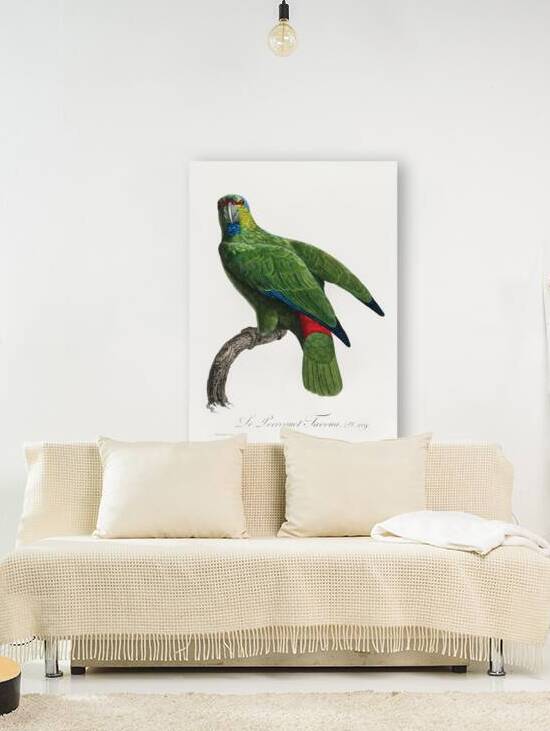 Festive parrot  by IStockHistory com