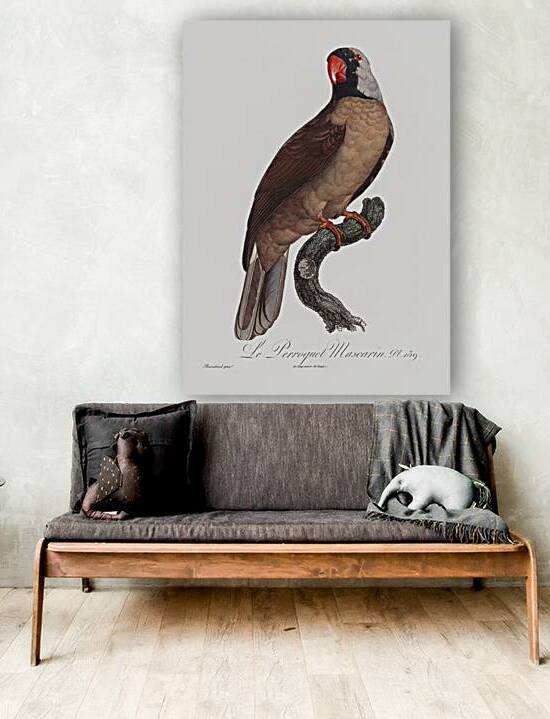 Mascarine parrot  by IStockHistory com