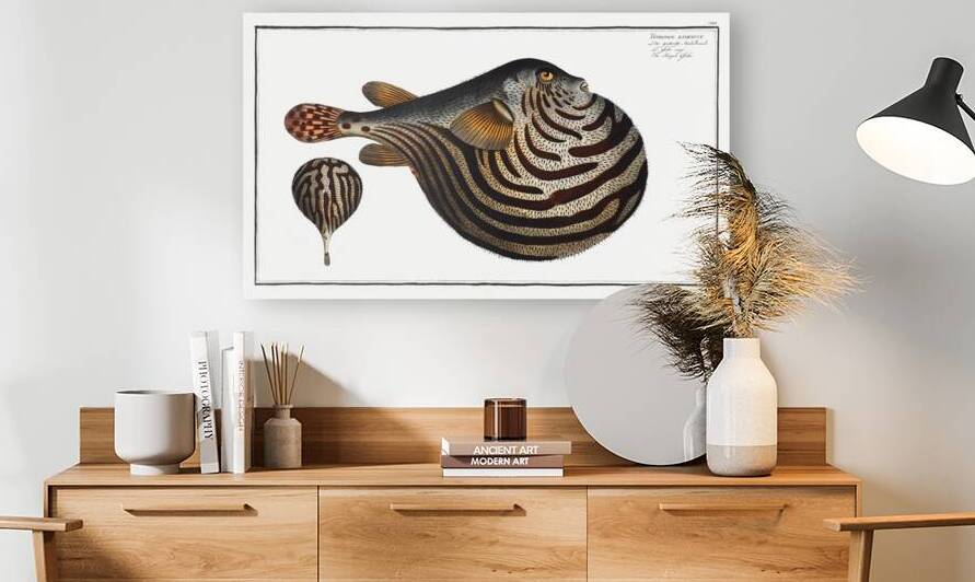 Striped Globe Tetrodon leneatus by IStockHistory com