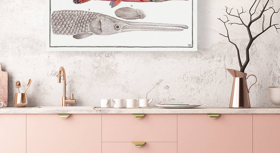 Gar-Fish Esox osseus by IStockHistory com