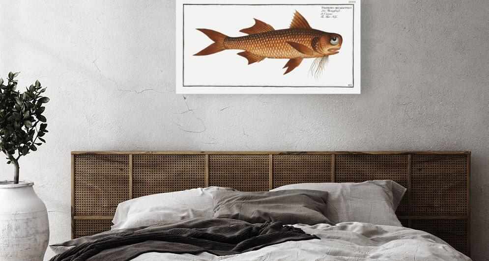 Flat-Nose Polynemus decadactylus by IStockHistory com