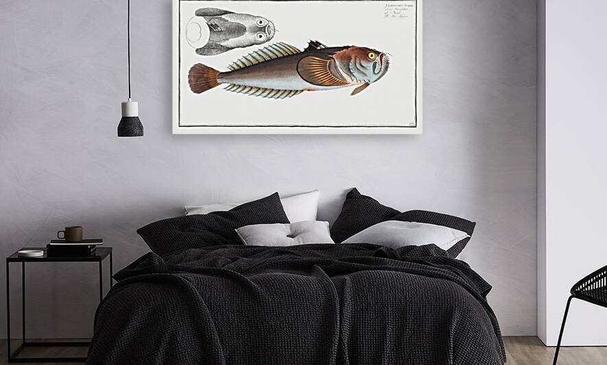 Star-Gazer Uranoscopus Scaber by IStockHistory com