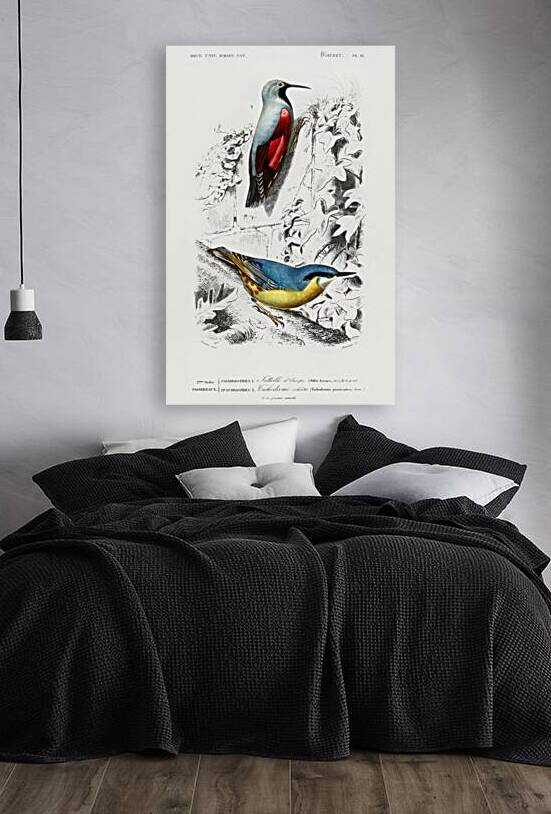 Different types of birds by IStockHistory com