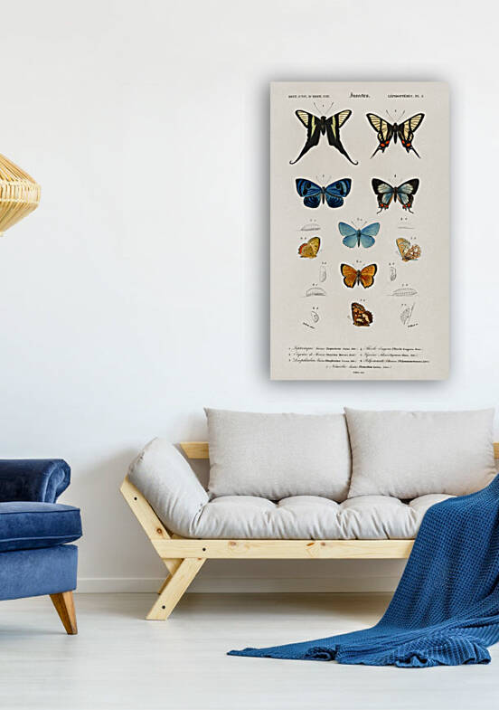 Different types of wasps by IStockHistory com