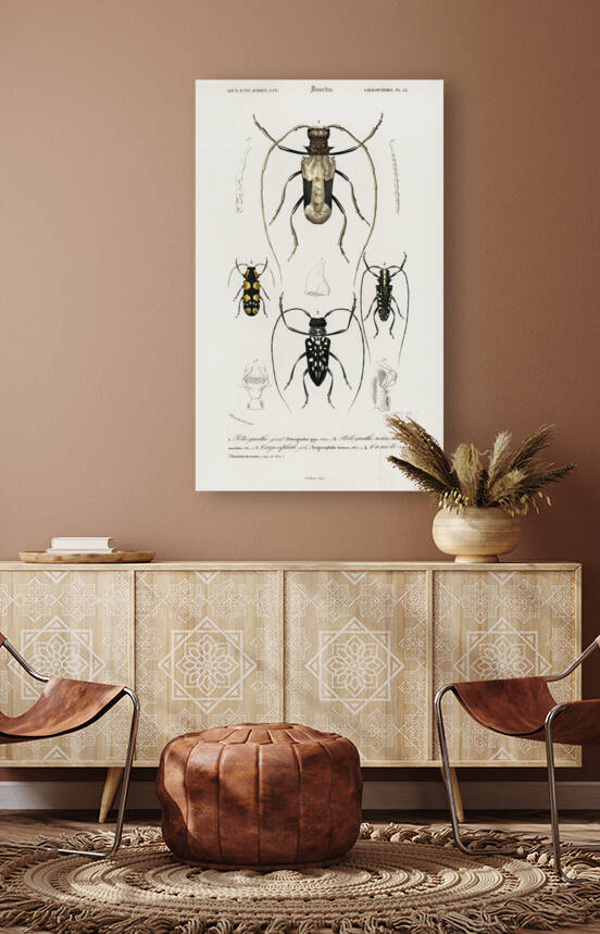 Different types of beetles by IStockHistory com