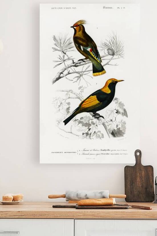 Different types of birds by IStockHistory com