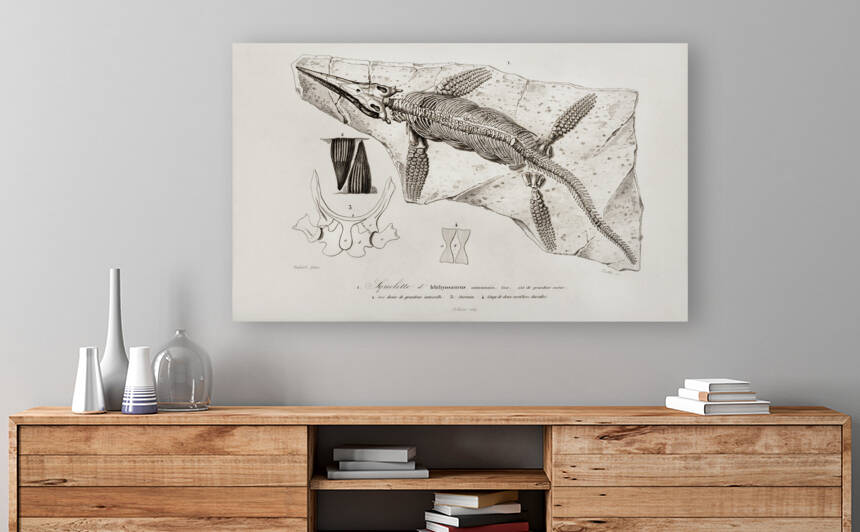 Chthyosaurus by IStockHistory com