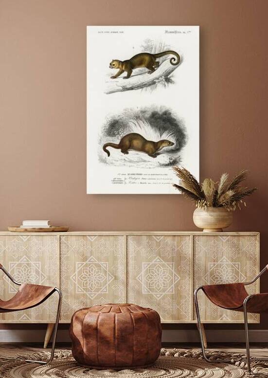 Kinkajou Potos caudivolvulus and The European Otter Mustela Lutra by IStockHistory com