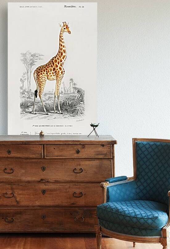 Vintage giraffe poster by IStockHistory com