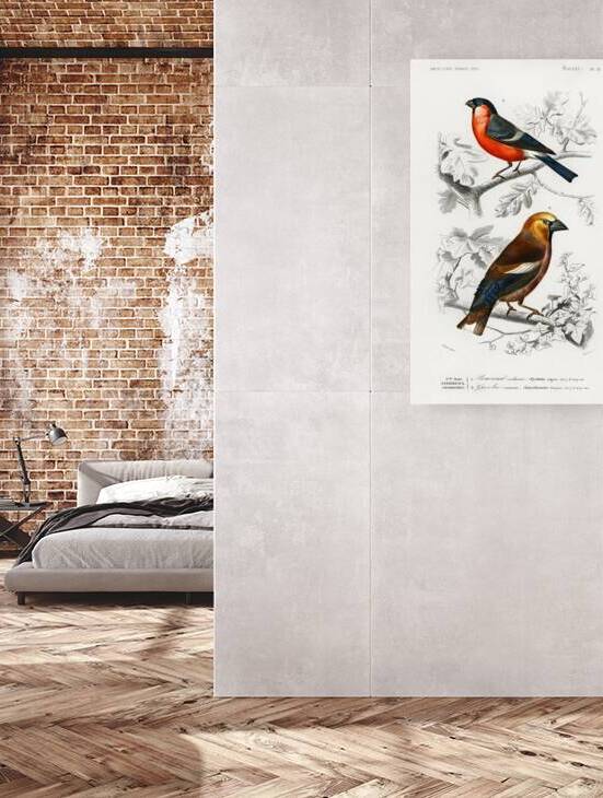 Different types of birds by IStockHistory com