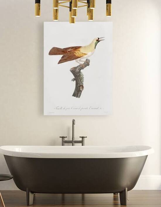Twelve wired bird of paradise  by IStockHistory com