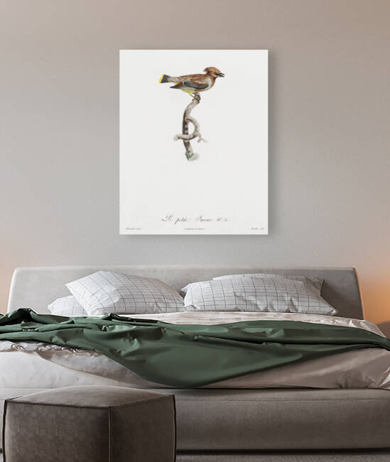Little jay by IStockHistory com