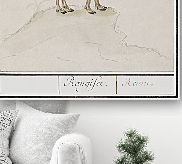 Reindeer in vintage style by IStockHistory com