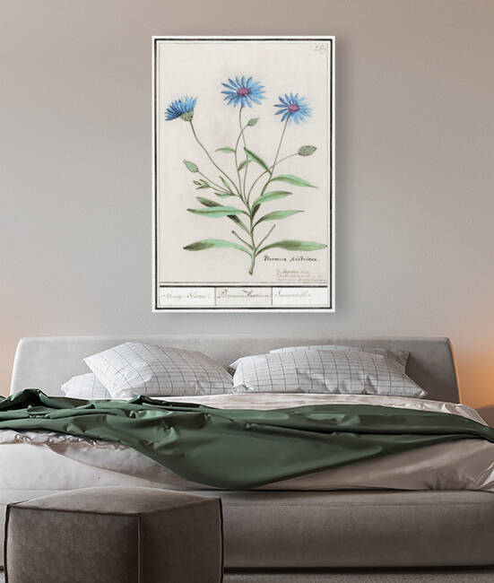 Blue strawflower in vintage style by IStockHistory com