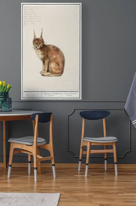 Lynx in vintage style by IStockHistory com