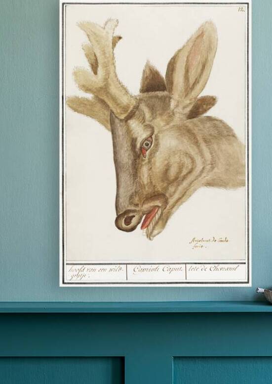 Deer head in vintage style by IStockHistory com