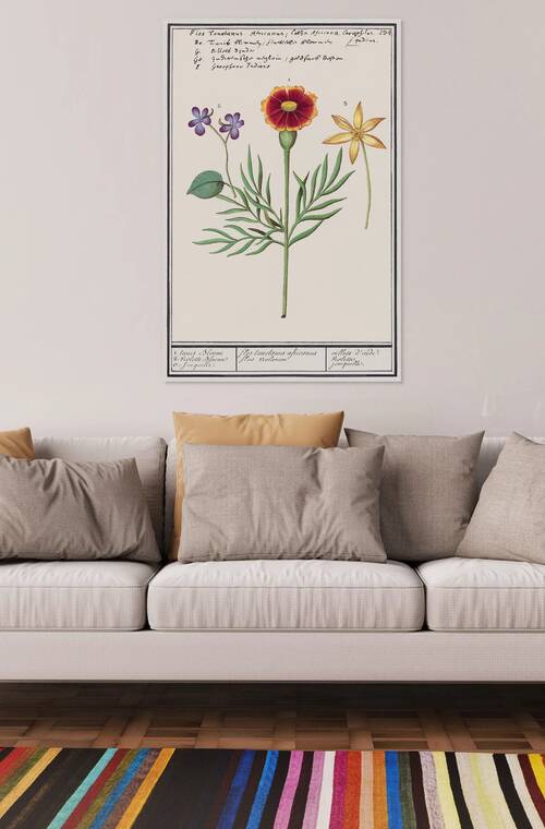 Viola daffodil and marigold Reproduction