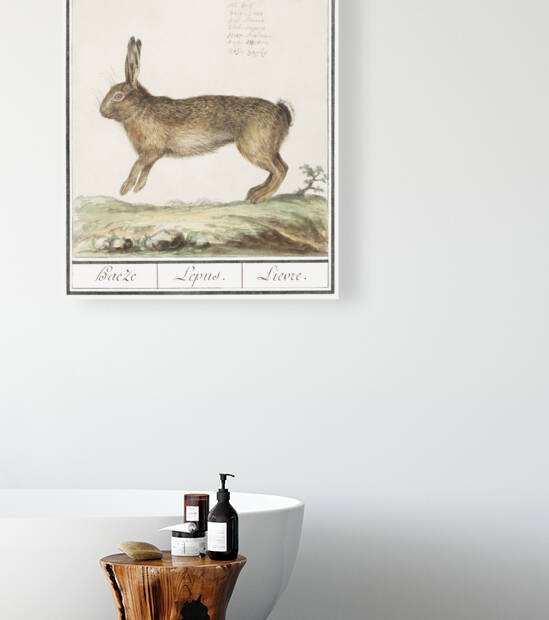 Hare in vintage style by IStockHistory com
