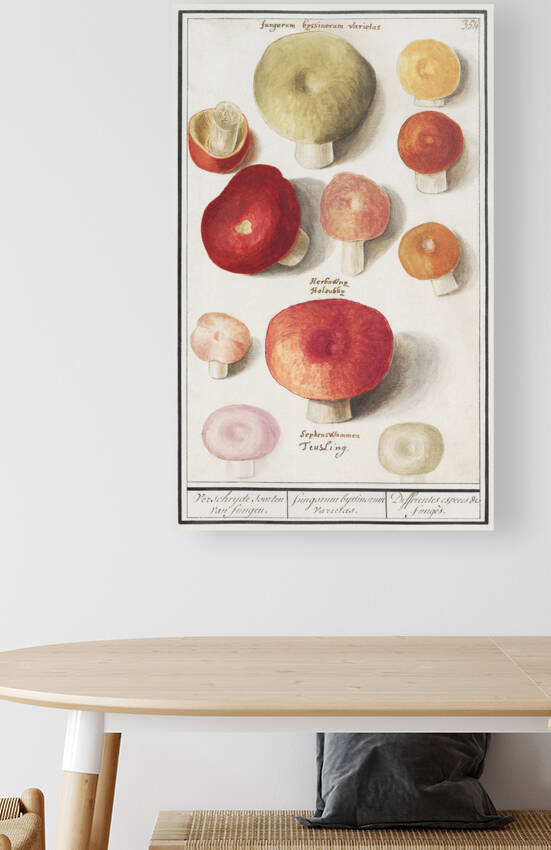 Mushrooms in vintage style by IStockHistory com