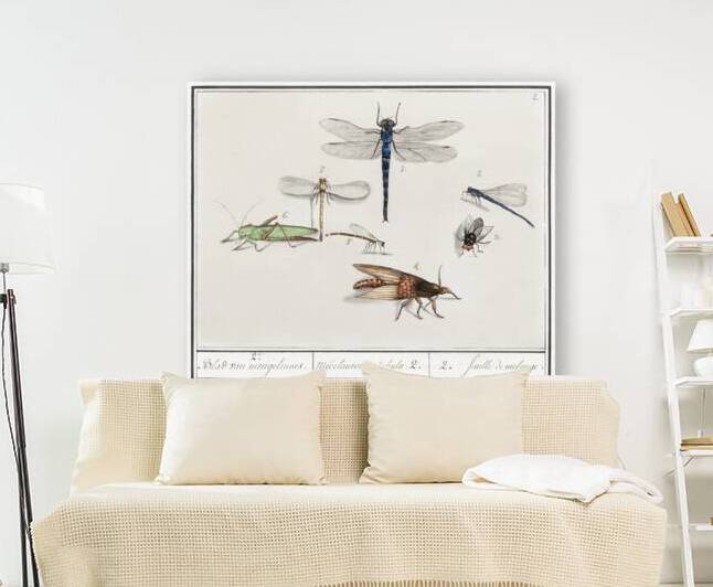 Dragonflies in vintage style by IStockHistory com