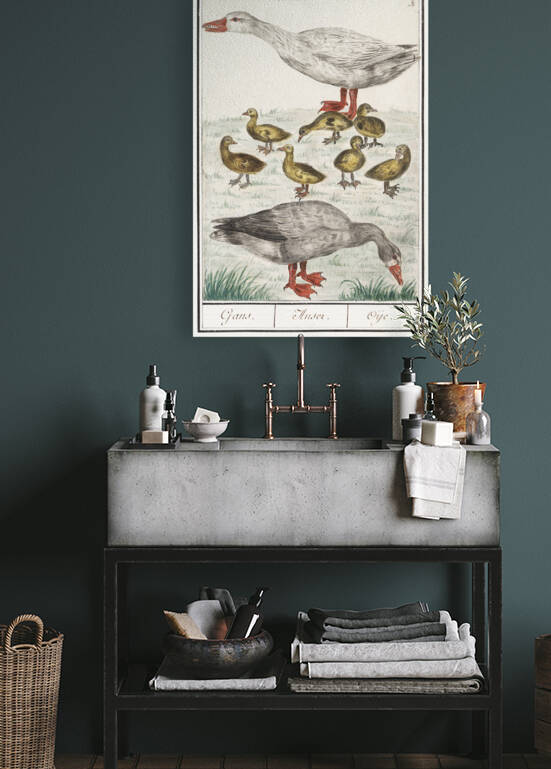 Farm goose in vintage style by IStockHistory com