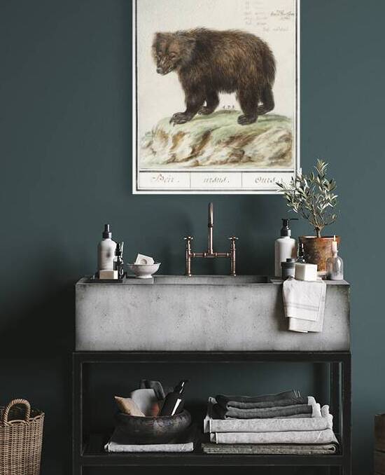 Grizzly bear in vintage style by IStockHistory com