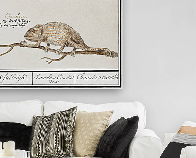 Chameleon in vintage style by IStockHistory com