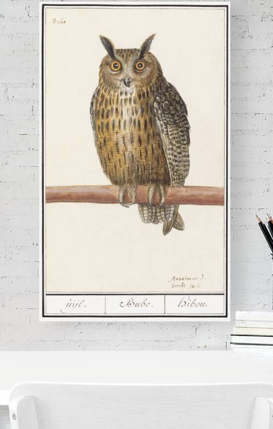 Long eared owl in vintage style by IStockHistory com
