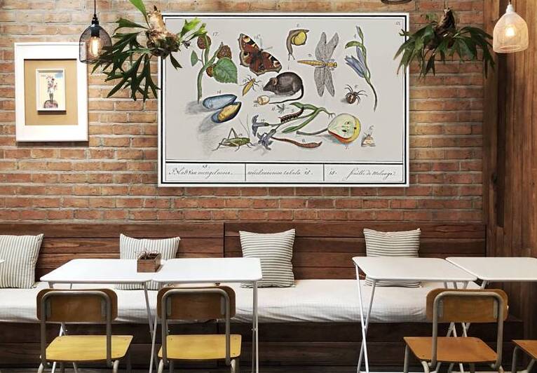 Nature ensemble in vintage style by IStockHistory com