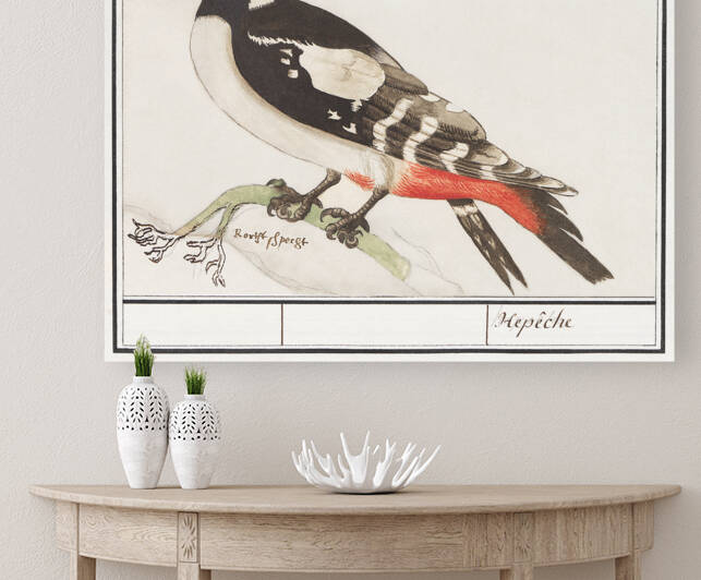 Great spotted woodpecker in vintage style by IStockHistory com