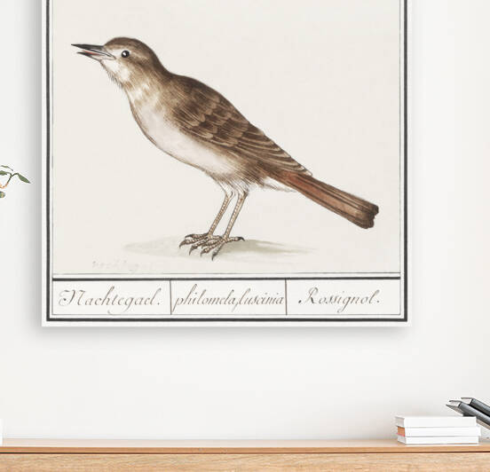 Nightingale in vintage style by IStockHistory com