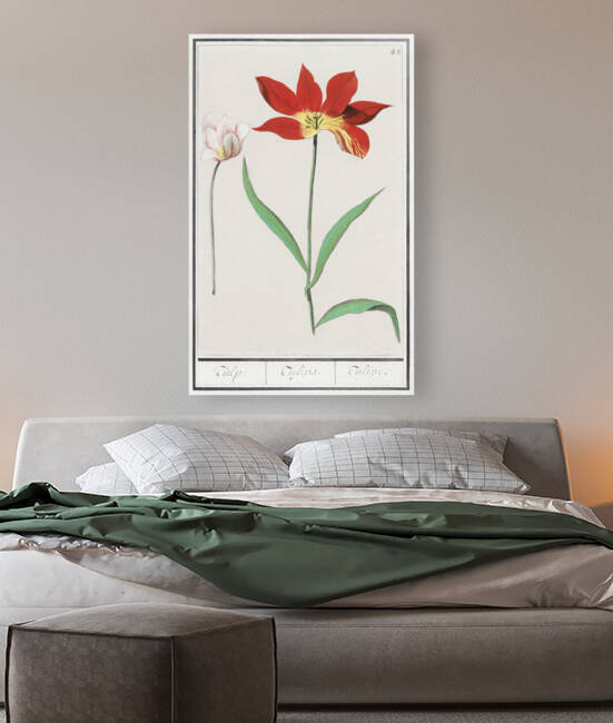Tulip in vintage style by IStockHistory com