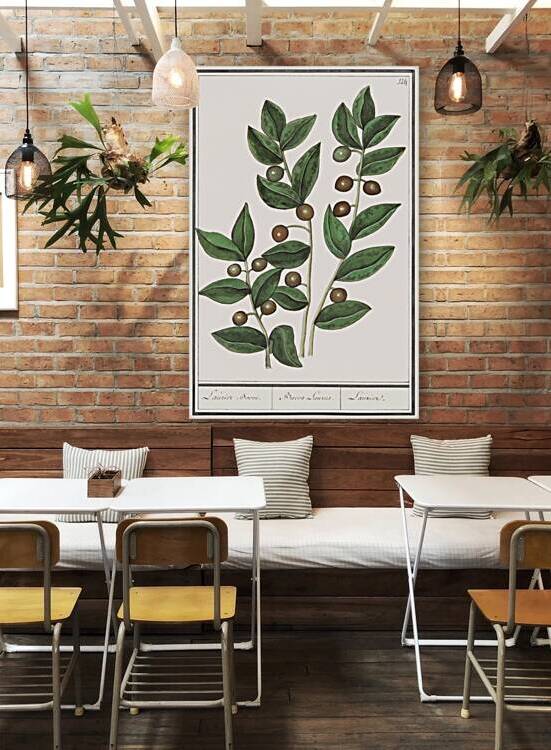 Olive in vintage style Reproduction