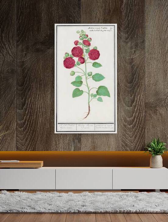 Cyclamen in vintage style by IStockHistory com