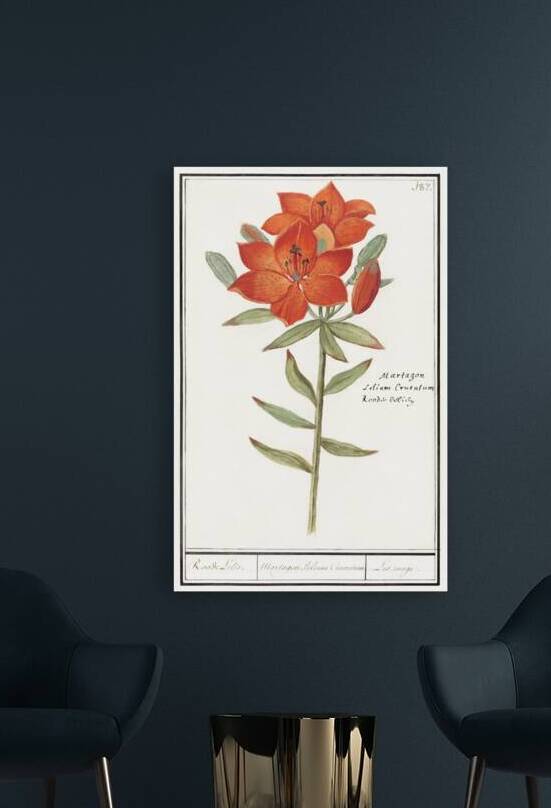 Red lily in vintage style by IStockHistory com