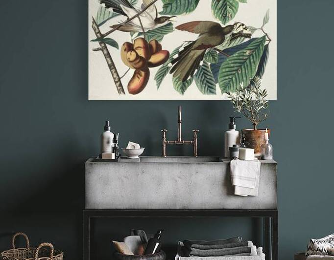 Yellow-billed Cuckoo by IStockHistory com