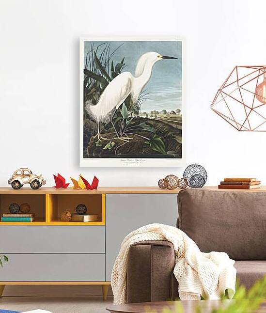 Snowy Heron or White Egret by IStockHistory com
