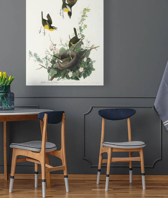Yellow-breasted Chat by IStockHistory com