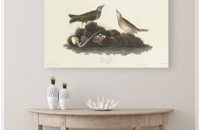 Brown Lark by IStockHistory com