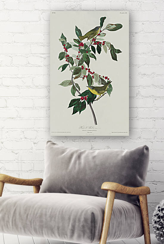 Nashville Warbler Reproduction